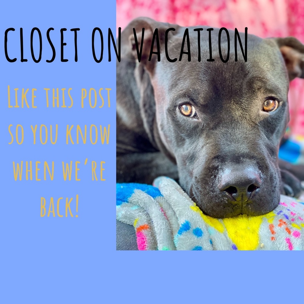 Closet on vacation. ♥️ like this listing- when it’s open, you’ll get a message.